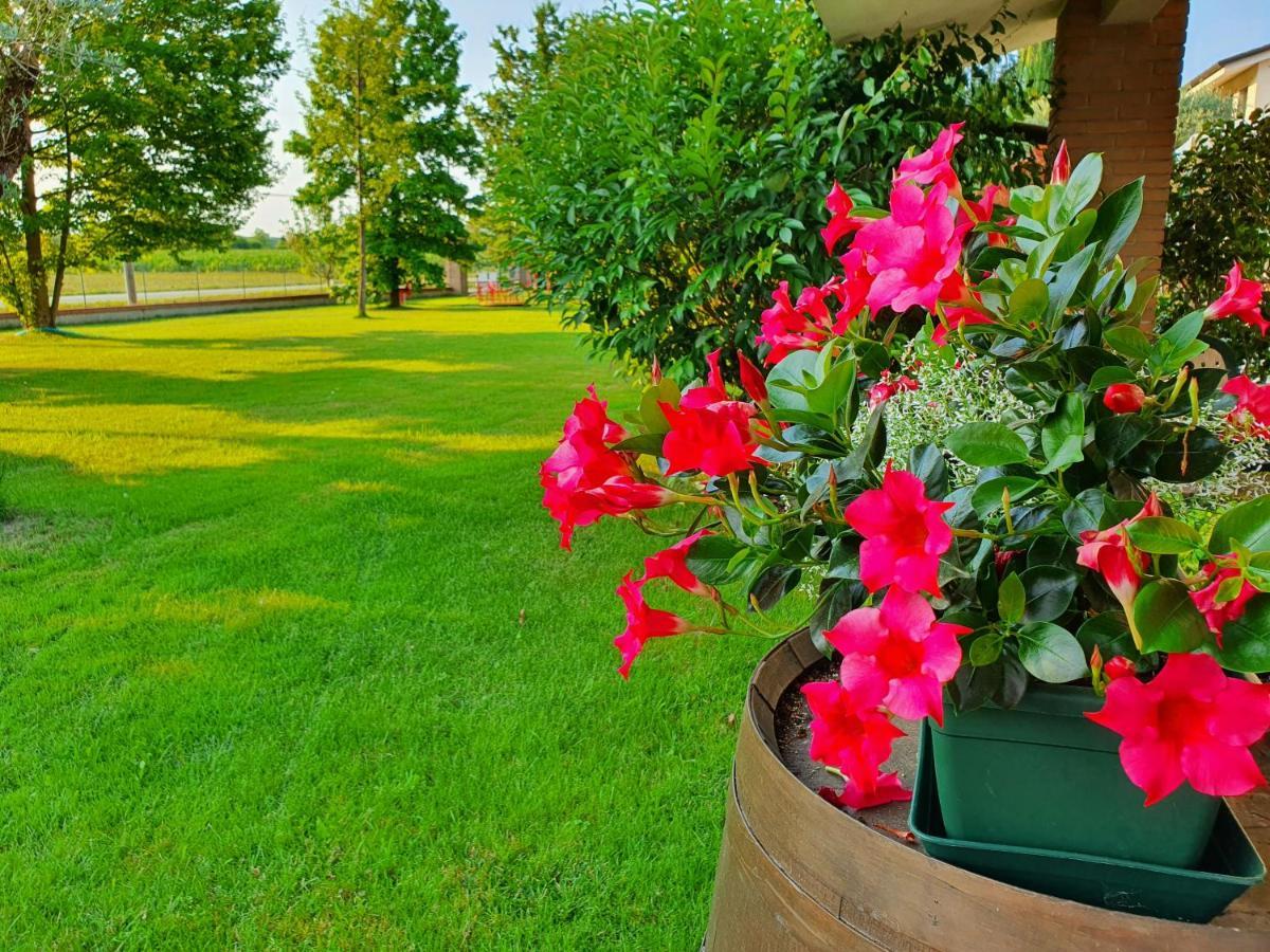 B&B Villalta Treviso Dış mekan fotoğraf